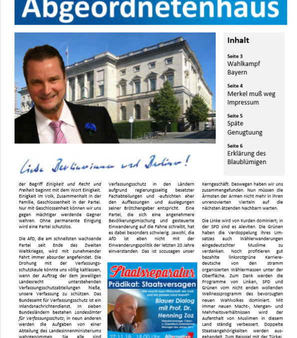 Brief aus dem Abgeordnetenhaus (November 2018)